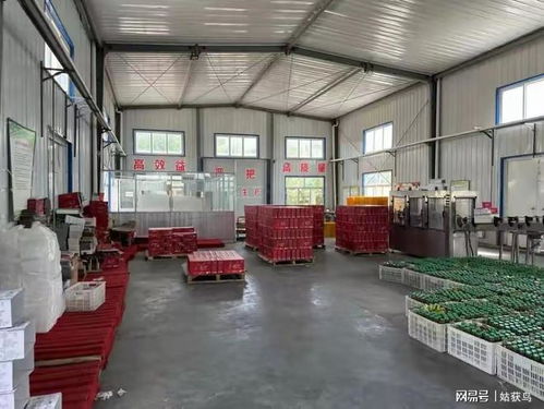 延安大型工廠三度流拍，降價(jià)至1824.9萬元仍無人問津