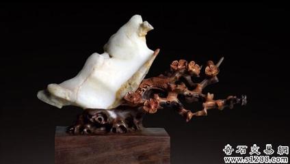 韓國石友首次亮相銀川賞石旅游節，助力石材文化交流與市場拓展